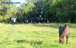 Romantic circus wagon - Image 1