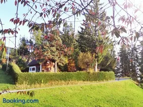 Waldheimat - Image 2