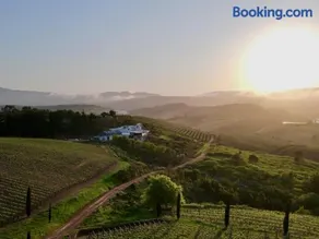 Spioenkop Wines Farm House - Image 2