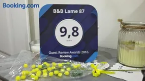 B&B Lame 87 - Image 5