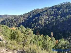 El Quejigo - Image 4