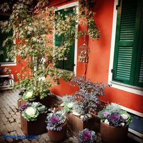 B&B Arcobaleno Affittacamere Rainbow - Image 3