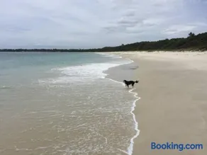 Paws and Pause at The Bay - Image 4