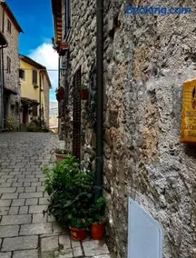 CASTAGNA BIANCA - Tuscan ToBe srl - Image 1
