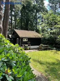 Kleine huisje op de Veluwe - Image 1
