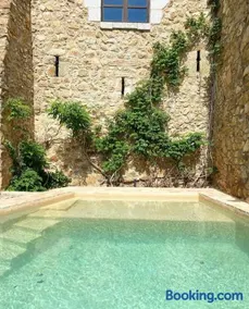 ELS RACONS DEL FORT Castle in wine territory - Image 3