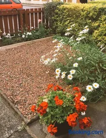 Belfast Holiday Home - Image 2