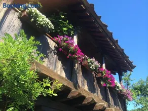 Stefanina Guesthouse - Image 1