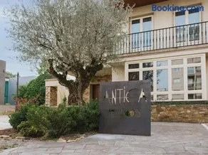 Antica Pacios - Image 5