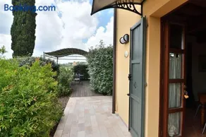 Girasoli - Image 3