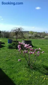 Mézesfészer apartman - Image 2