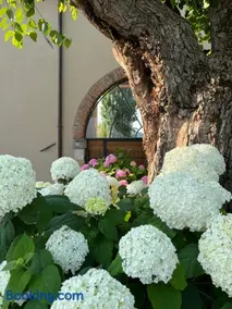Casa Perazzolo - Image 2