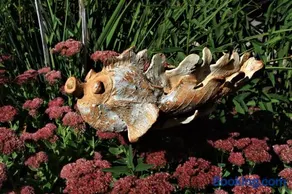 Gite Loredana - Image 5