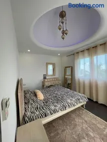 Dar ZYED - Image 4