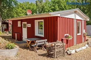 Seebär - Image 2