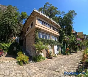 Surf - Image 3
