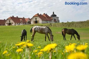 Stadnina Koni Nad Wigrami - Image 2