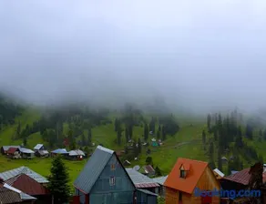Hillside Bakhmaro - Image 2
