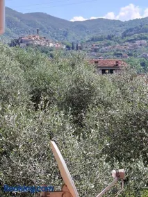 Grazioso monolocale - Image 2
