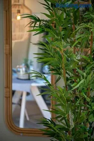 Charmant bungalow adapté aux familles avec terrasse, jardin et barbecue | Vue jardin | Proche de la plage | Idéal pour le télétravail | Avec animaux acceptés - Image 2
