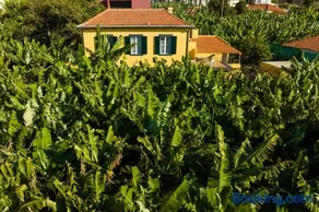A  Casa  D`Avó  Celina - Image 3