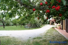 Agriturismo Diciocco - Image 3