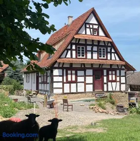 Öko-Fachwerkhaus am Schwarzwald - Image 4