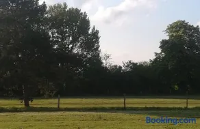 Les prés du petit Morlu - proche Beauval - Image 5