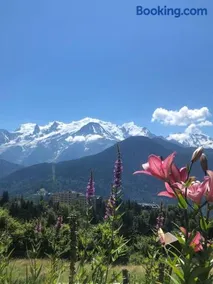 Appartement au pays du Mont-Blanc - Image 1