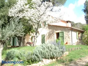 Casa Jacaranda - Image 1