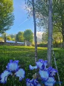 La Llosa - Image 2