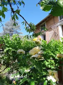 Beautiful apartment in Provençal residence with garden and WiFi - Image 2