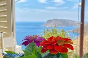 Poppy's House - Image 1