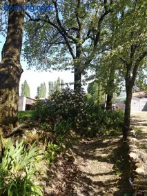 le jouc - Image 2