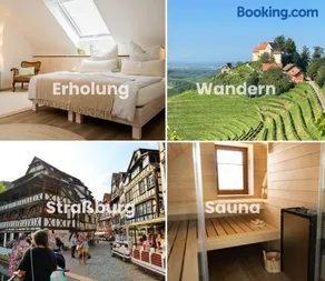 Schwarzwald Wellness byHannes - Sauna, Wandern & Straßburg Erlebnis - Image 2