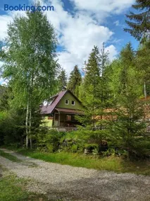 Green House - Image 2
