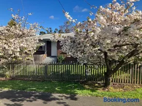 Home & Away St Leonards - Image 2