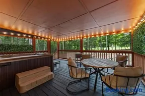 The Racoons Nest In Copperhead Lodge - Image 2