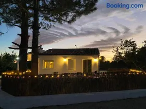 Casa the Dutchman - Image 2