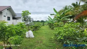 ตะวันวิลเลจ - Image 2