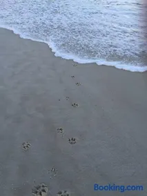 Paws and Pause at The Bay - Image 2