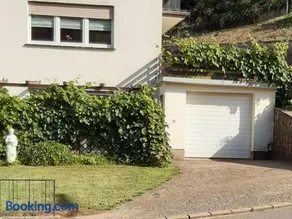 Helmine - Image 3