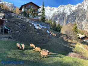 Panorama at Haus Waldheim! Nr 12 - Image 1