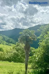Un écrin dans la nature - Image 3