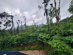 Shrunga Shreni Homestay - Near Bandaje trek and falls - Image 1