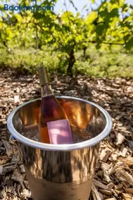 Holmegaard vin og glamping - Image 4