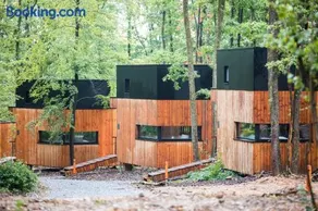 Forest Cube Signature - Image 5