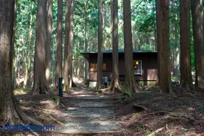 清流と森林の山荘 Tanzawa Forest Villa - Image 4