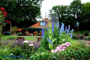 B&B Kamperfoelie - Image 2
