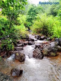 Weekend Villa at Nature's Lap (Malshej Ghat) - Image 4